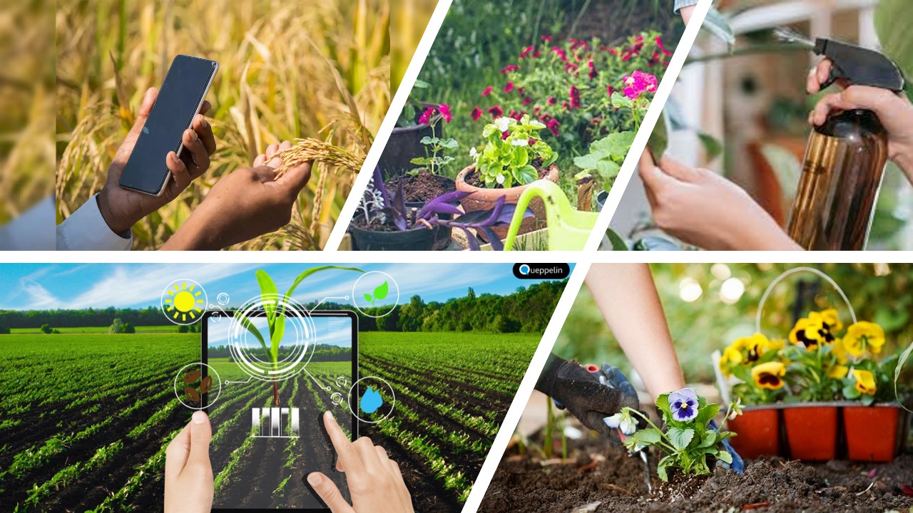 Online Consultation Icon